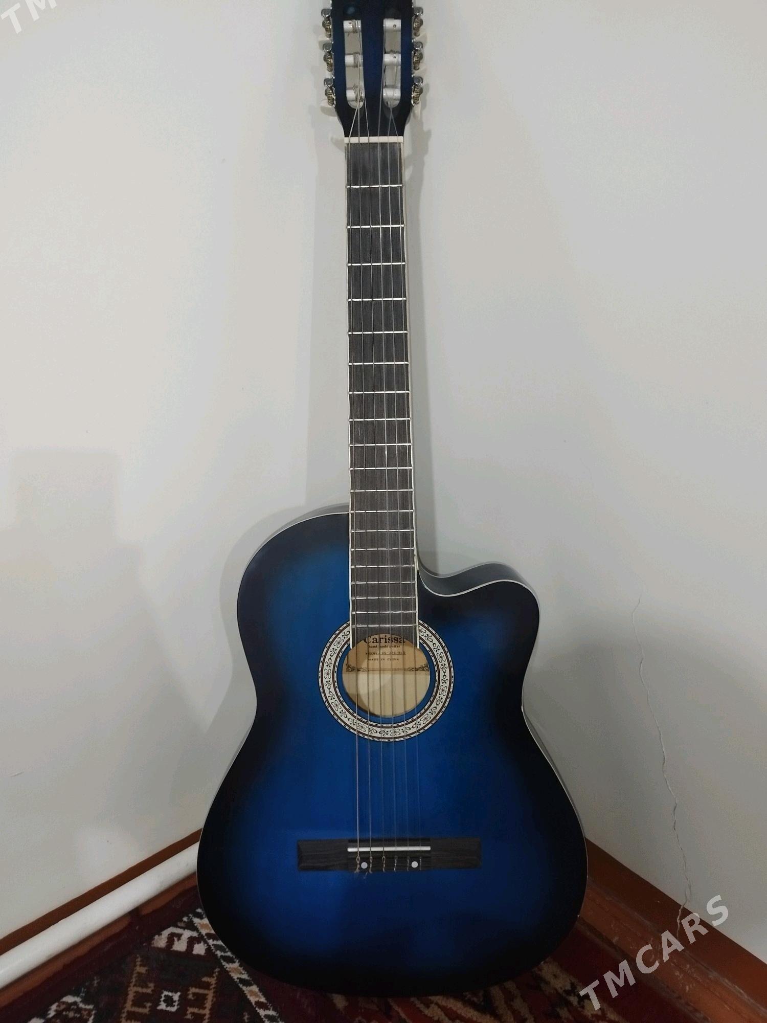 GitaraGitara - Сакарчага - img 2