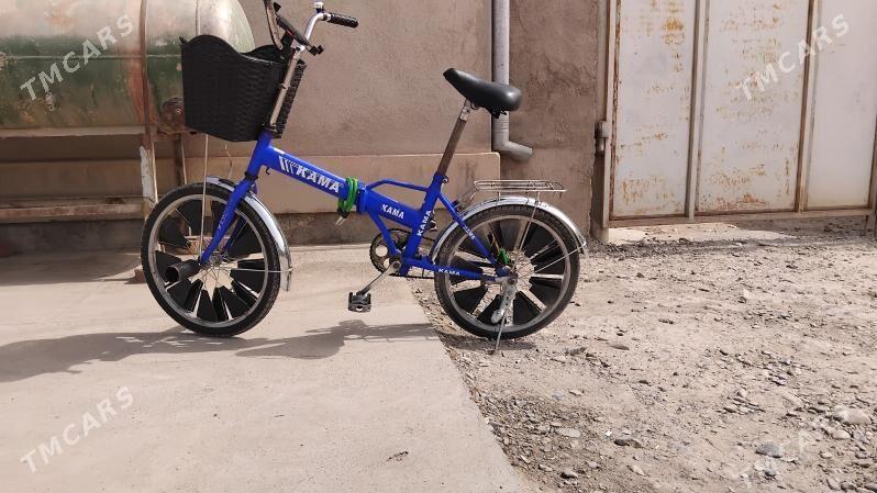 kama tigir - Tejen - img 2