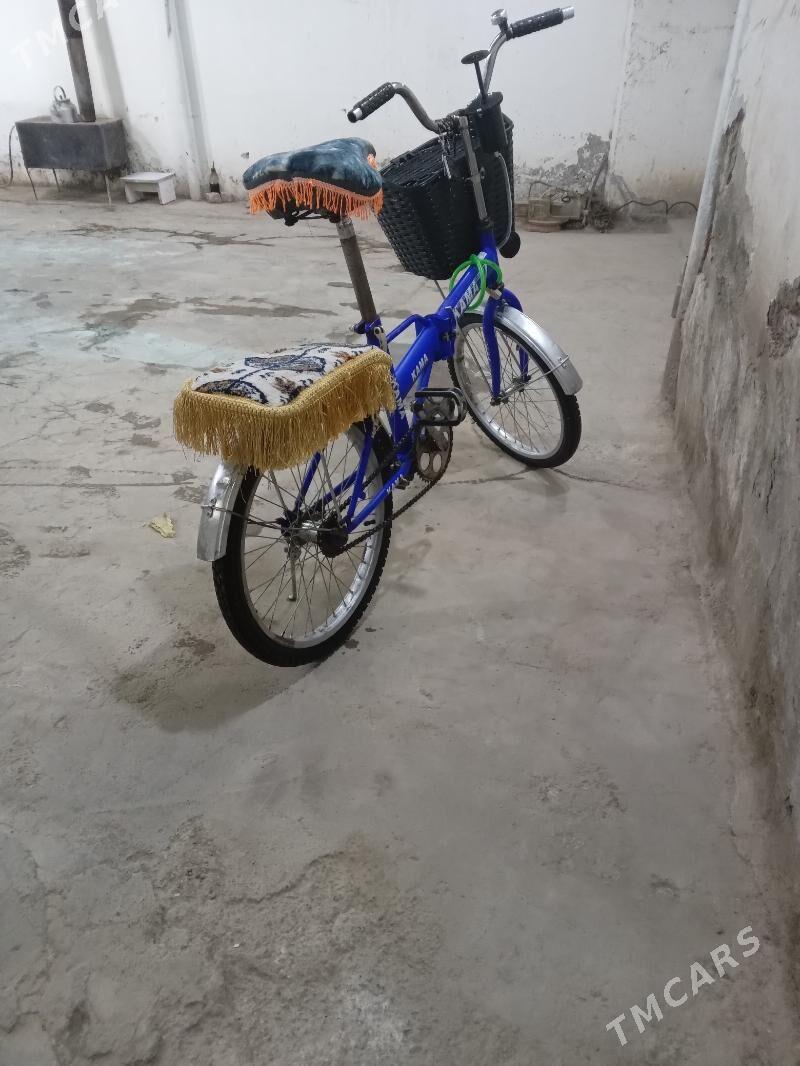 kama tigir - Tejen - img 3