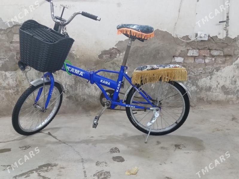 kama tigir - Tejen - img 4