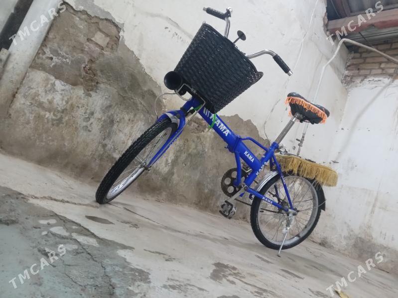 kama tigir - Tejen - img 2