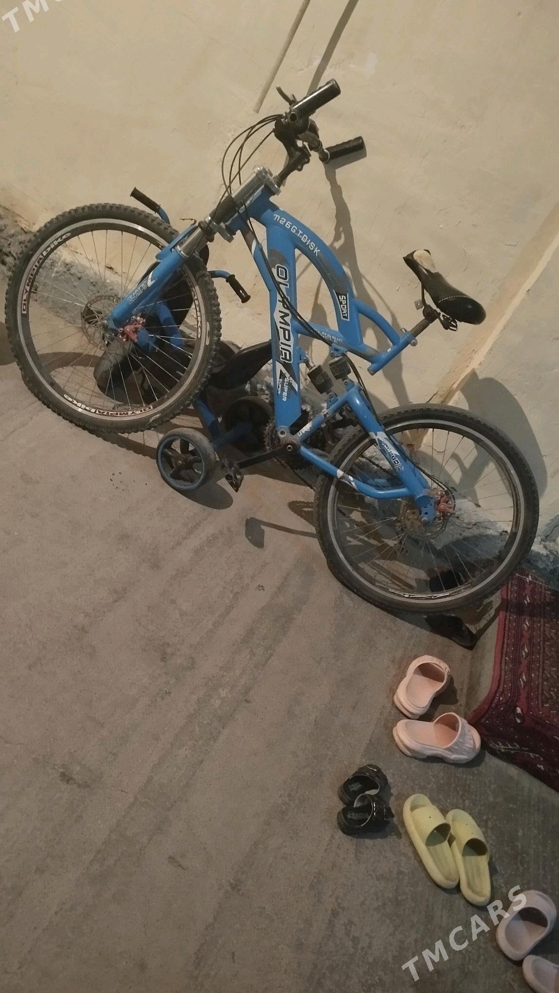 tigir - Hitrowka - img 4