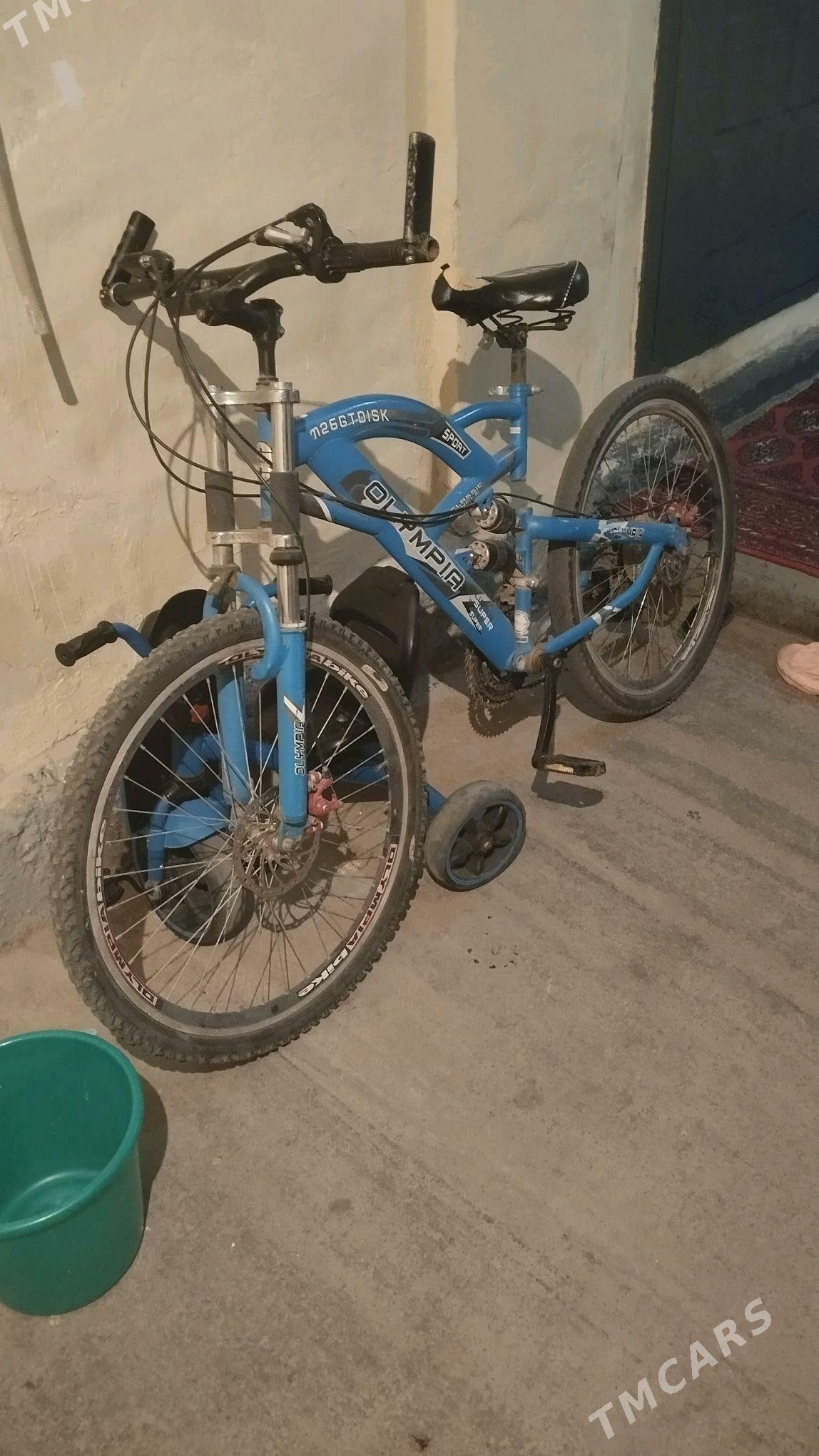 tigir - Hitrowka - img 2