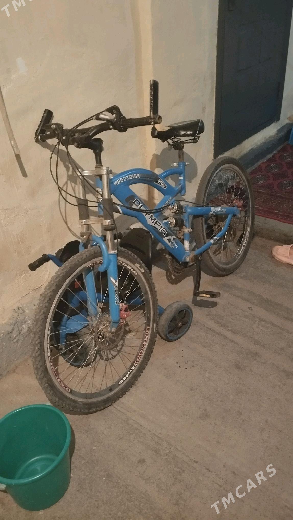 tigir - Hitrowka - img 3