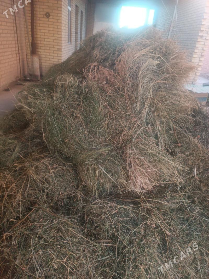 Bede беде - Чарджоу - img 2