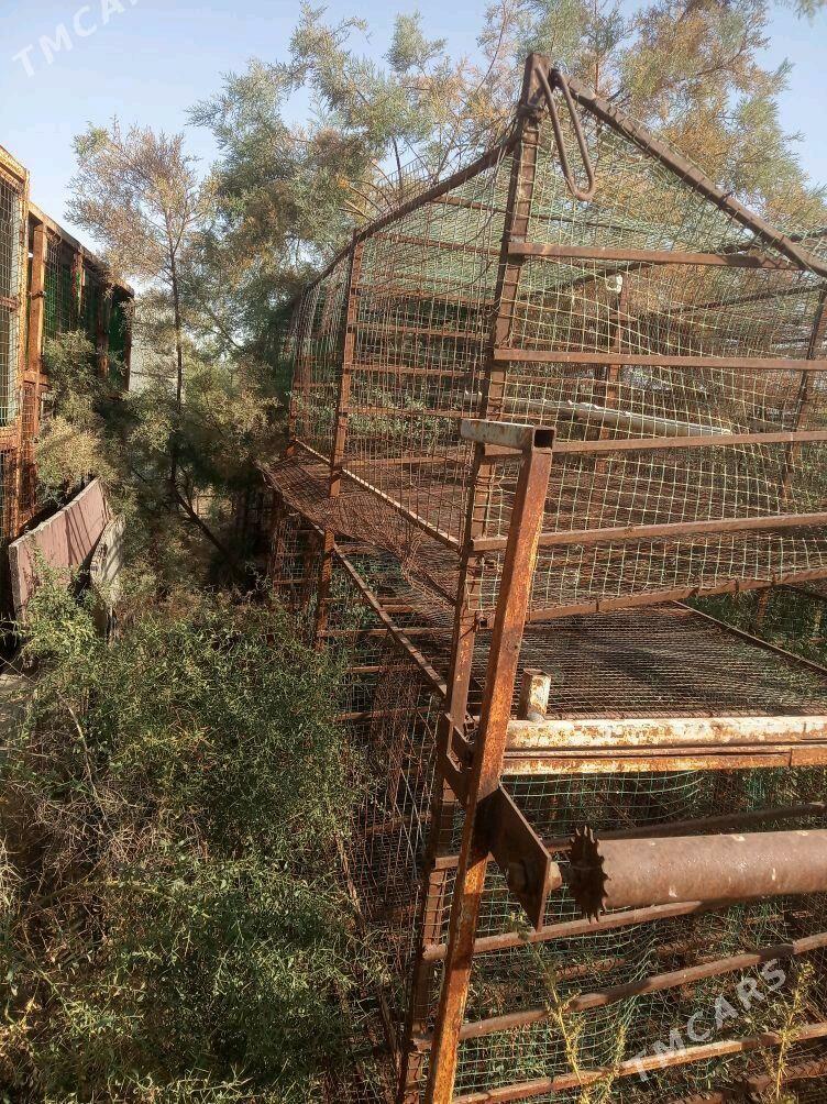 towuk ketek juje - Ак-Бугдайский этрап - img 5