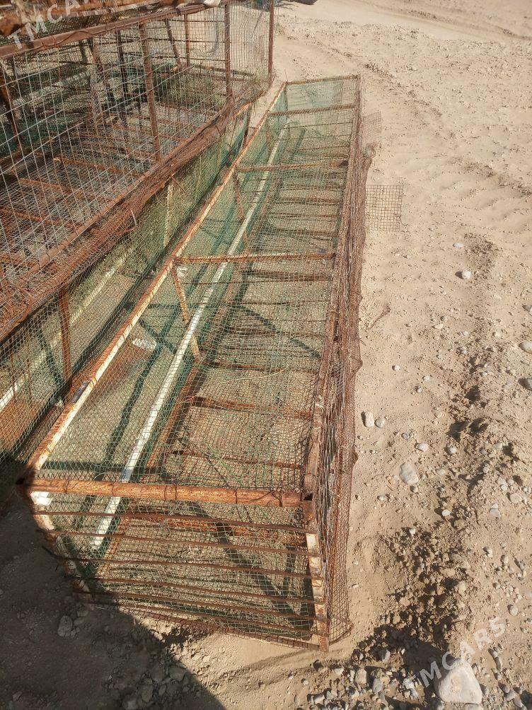 towuk ketek juje - Ак-Бугдайский этрап - img 2