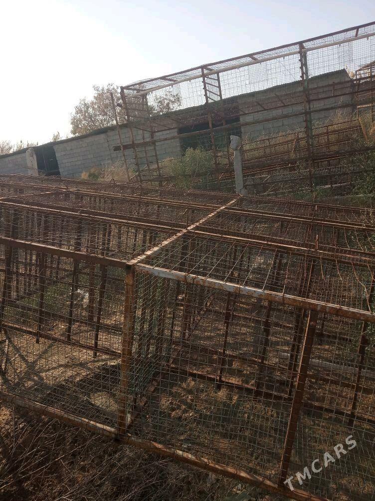 towuk ketek juje - Ак-Бугдайский этрап - img 9