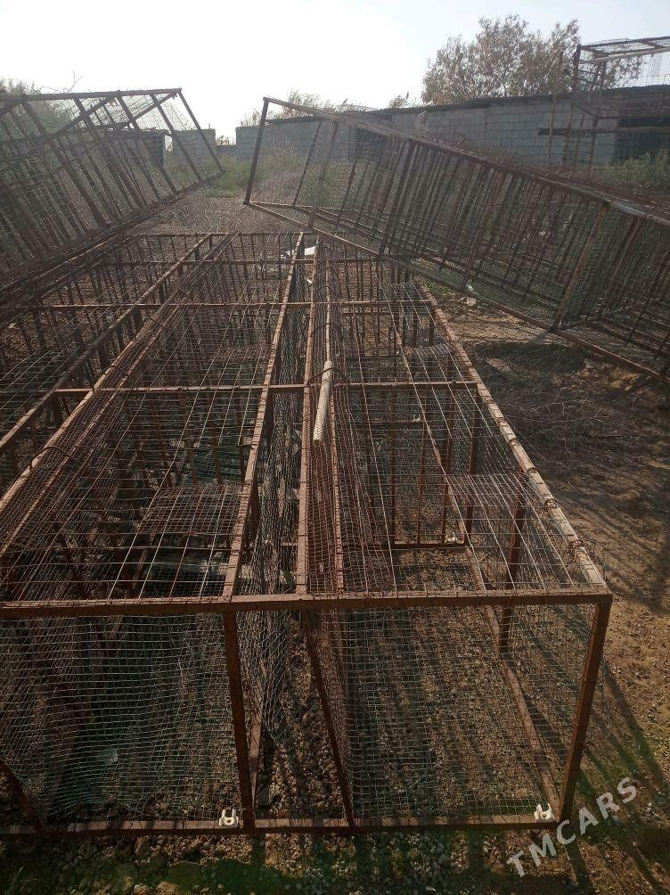 towuk ketek juje - Ак-Бугдайский этрап - img 8