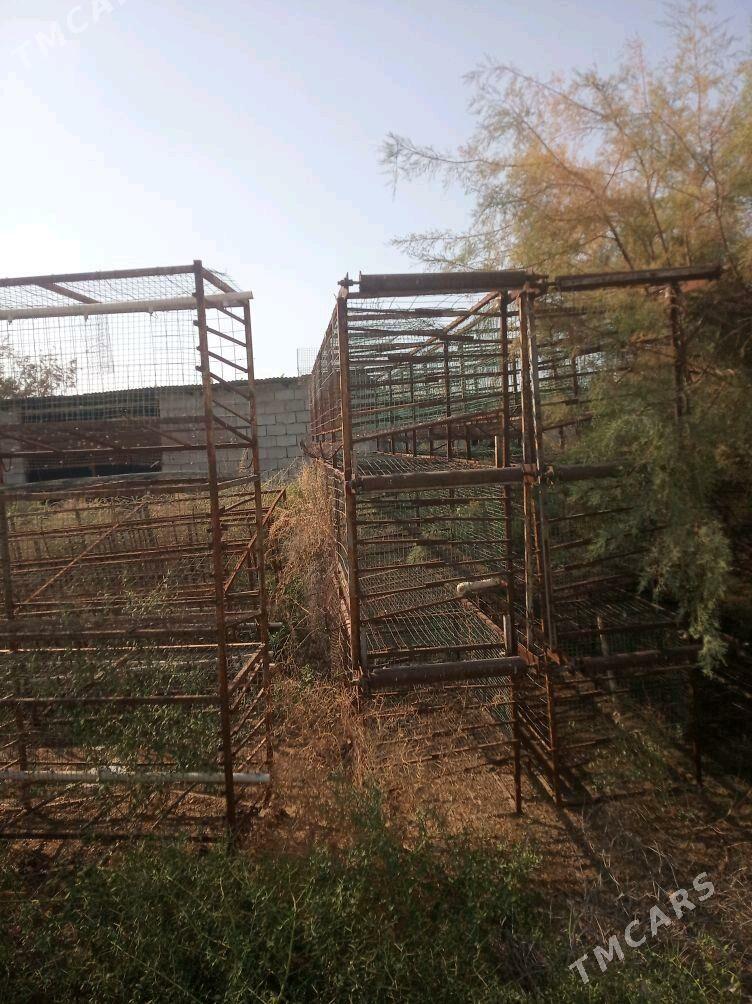 towuk ketek juje - Ак-Бугдайский этрап - img 10