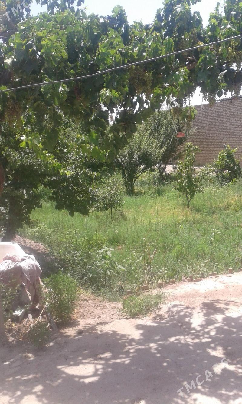 продам дом 25 соток - Сакар - img 2