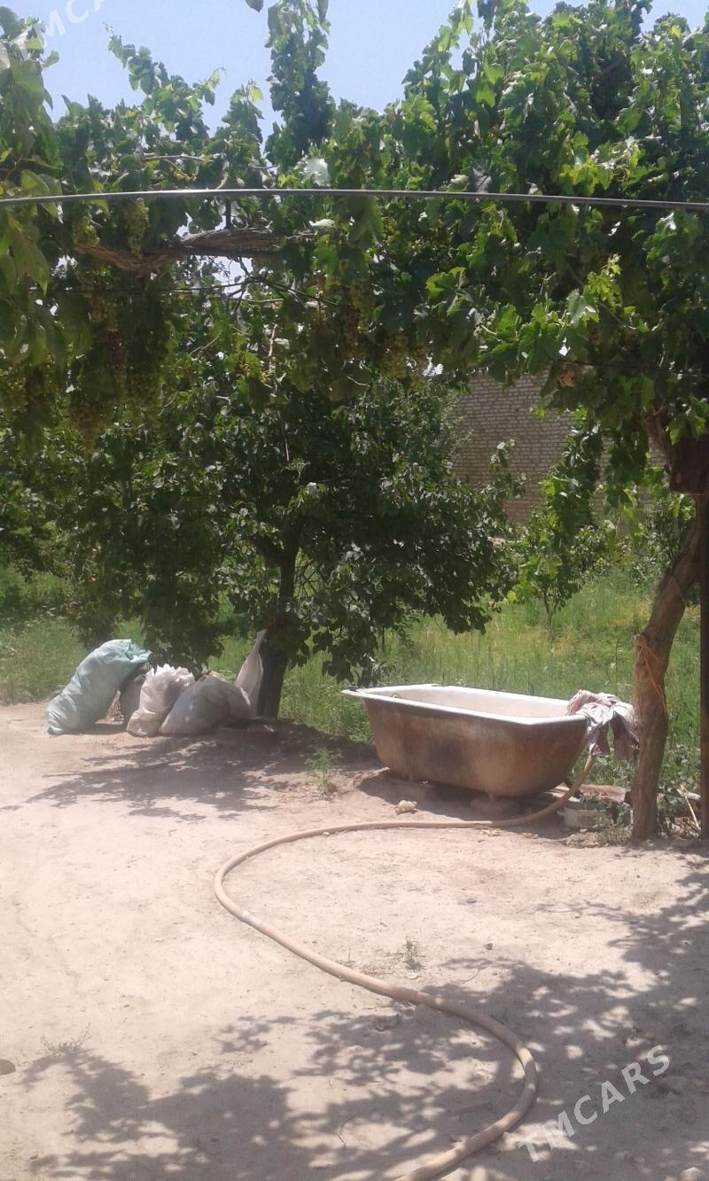 продам дом 25 соток - Сакар - img 1