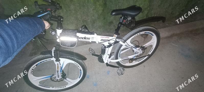 tigir - Büzmeýin GRES - img 4