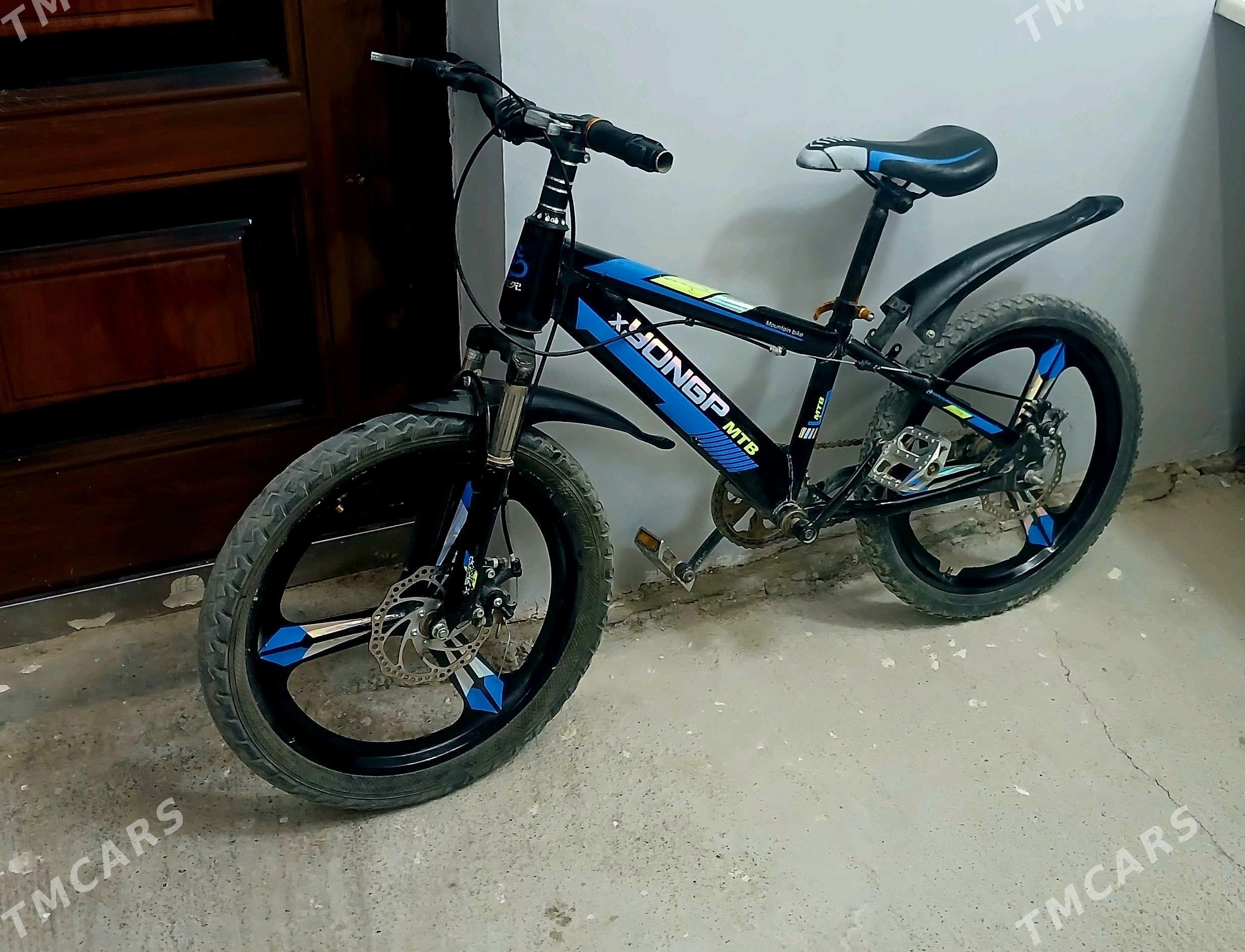 tigir - Çoganly - img 2