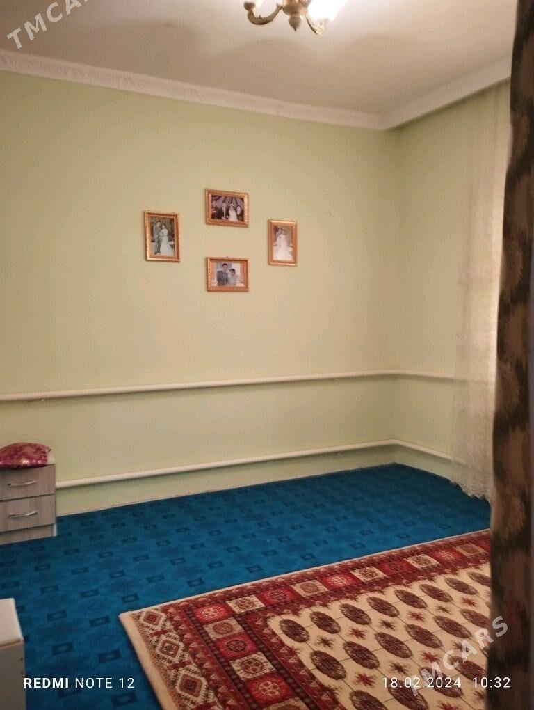 ucaska jay - Дашогуз - img 4