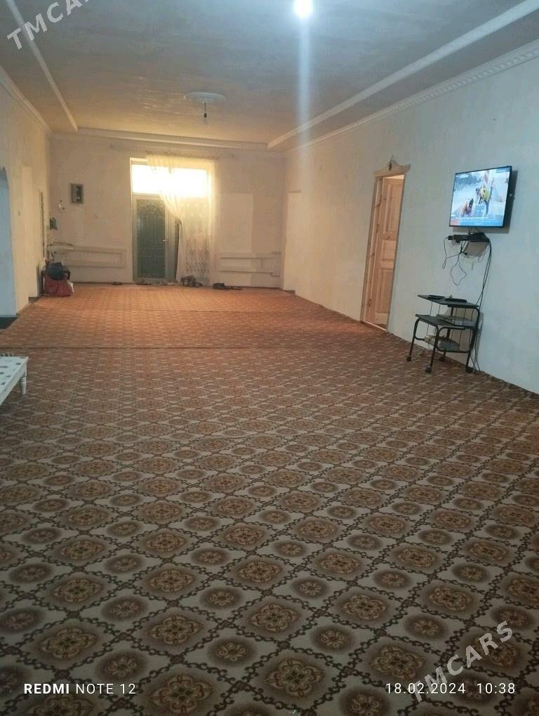 ucaska jay - Дашогуз - img 2