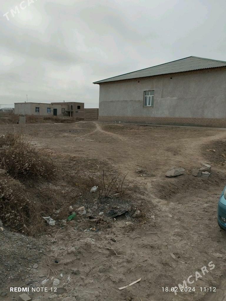 ucaska jay - Дашогуз - img 1