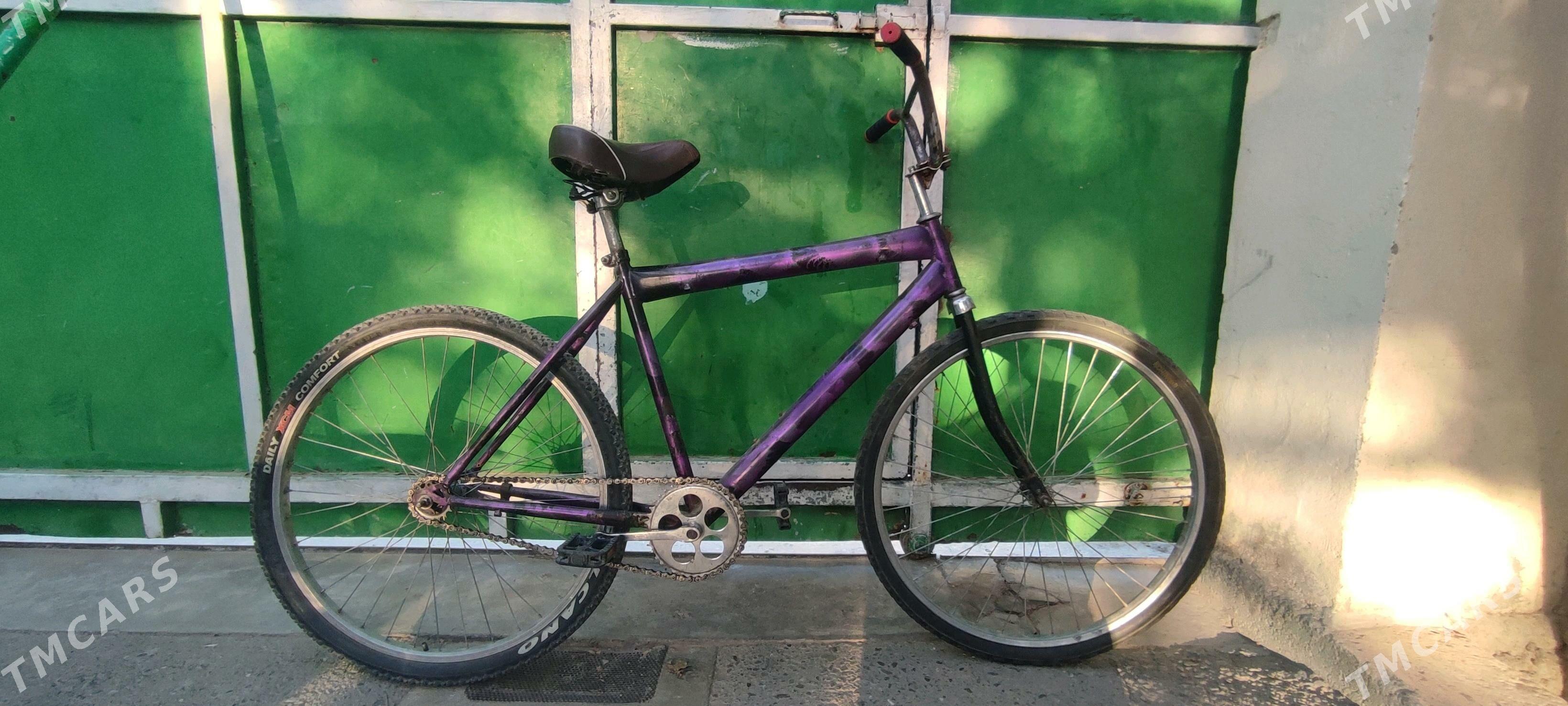 tigir тигир gyssagly uly 26lyk - Bedew - img 2