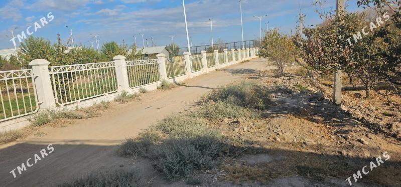 сатлык - Туркменабат - img 2