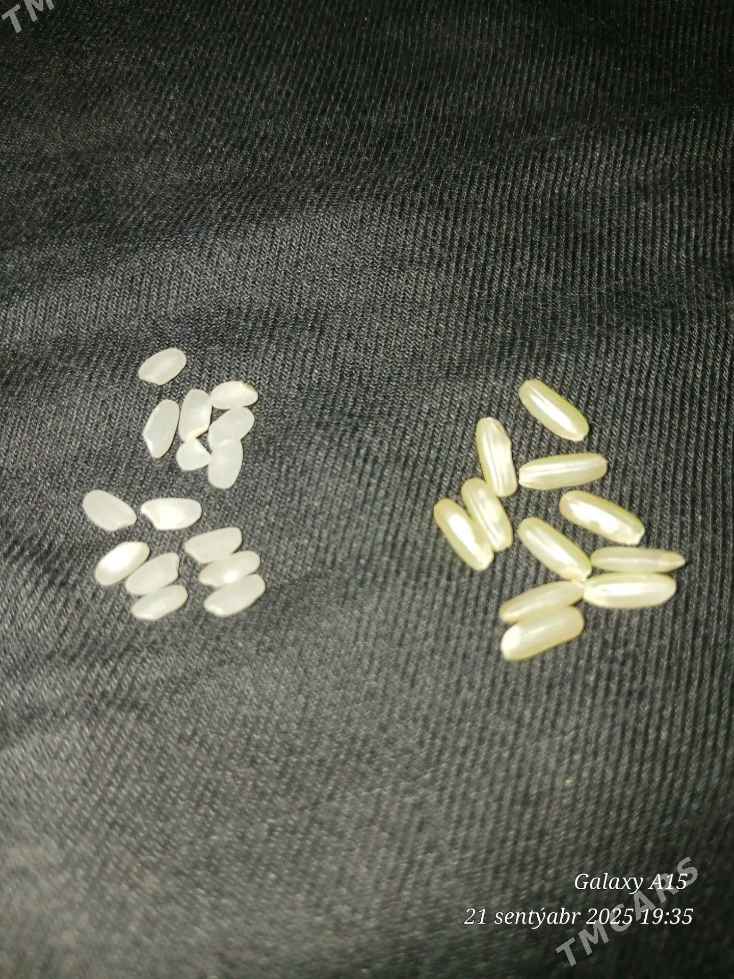 Şaly tohum - Sakar - img 8