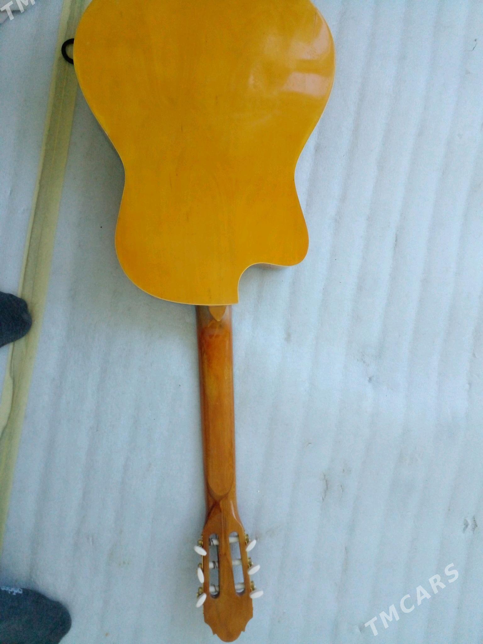 Gitara fitness - Туркменабат - img 3