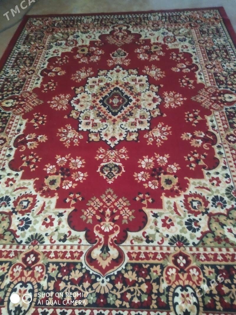 haly - Хитровка - img 4