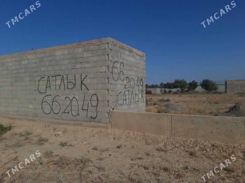 KAKADA SATLYK JAÝ - Кака - img 1