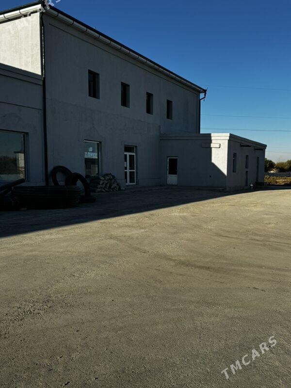 аренда ,Kärende berilýar - Daşoguz - img 2