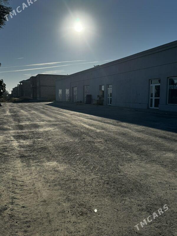 аренда ,Kärende berilýar - Daşoguz - img 3