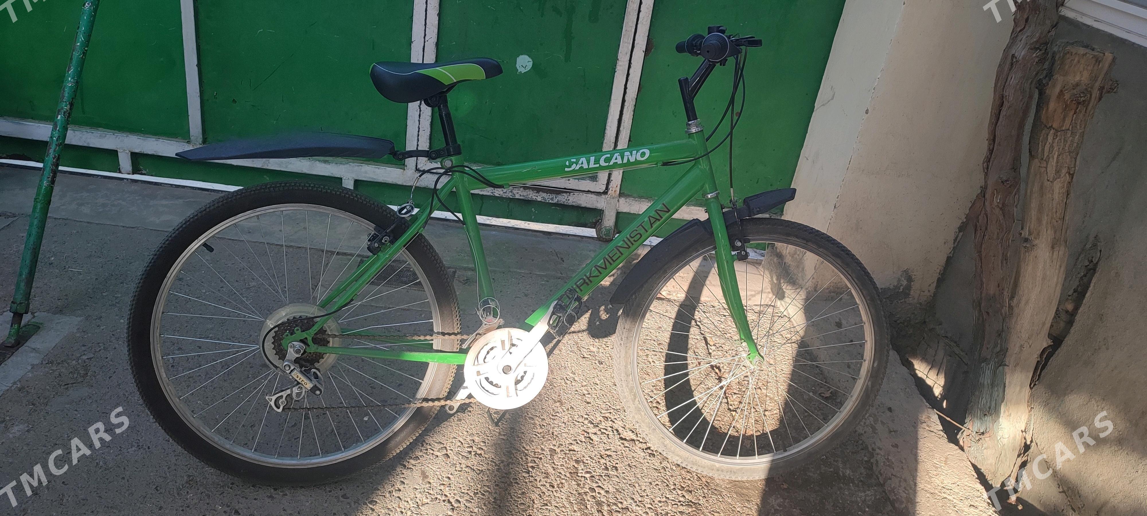 tigir gyssagly turkmenistan 26 - Бедев - img 1