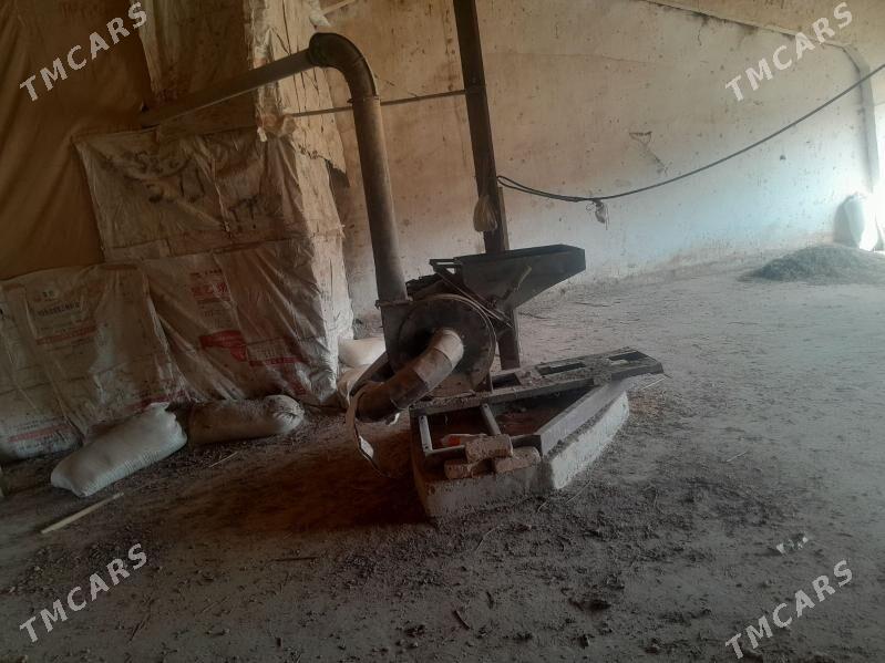 Şalynyn possynny uweyan aparat - Чарджоу - img 1