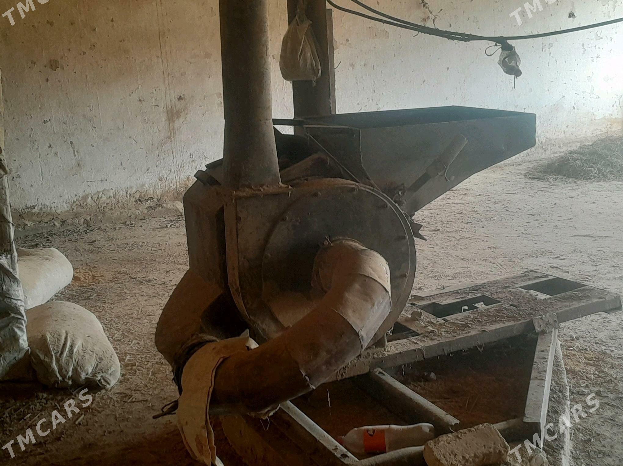 Şalynyn possynny uweyan aparat - Чарджоу - img 3