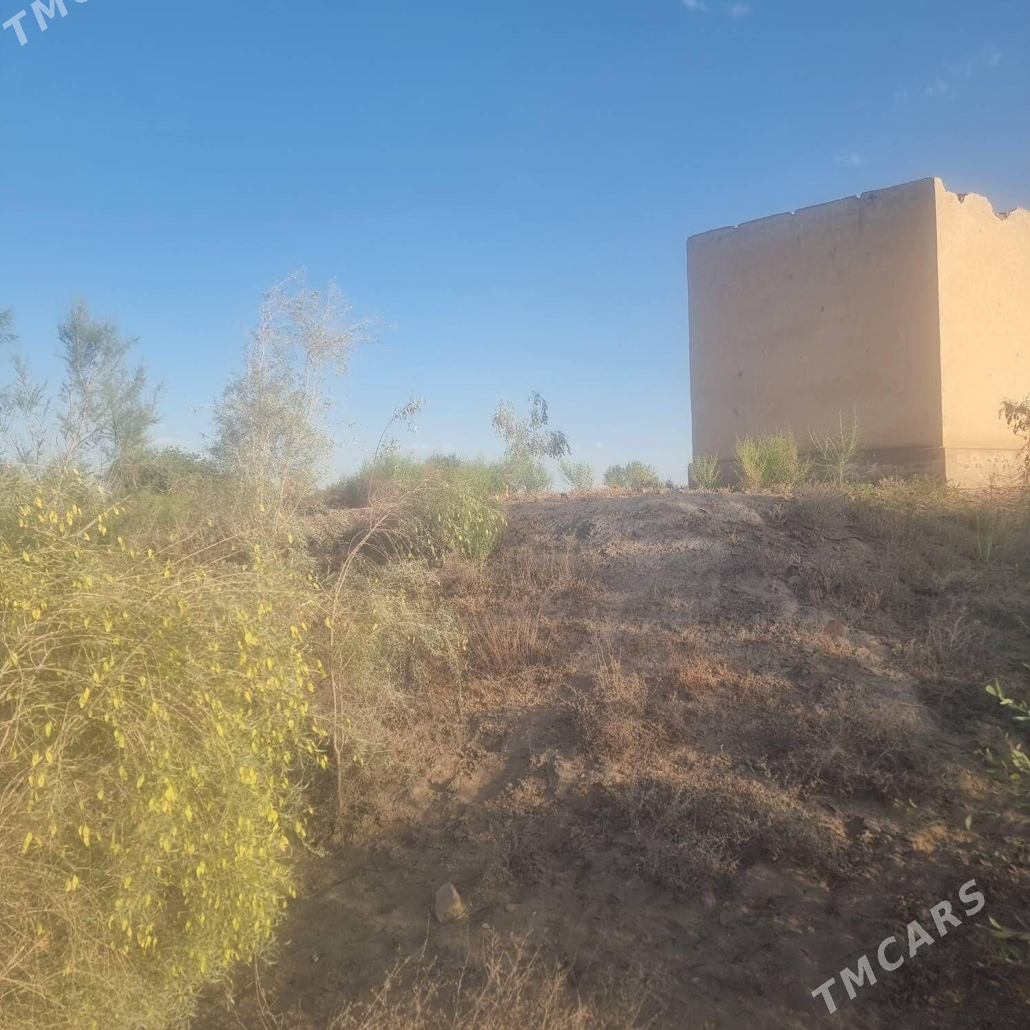 Jylpasyoluk 16 sotuk - Чарджоу - img 4