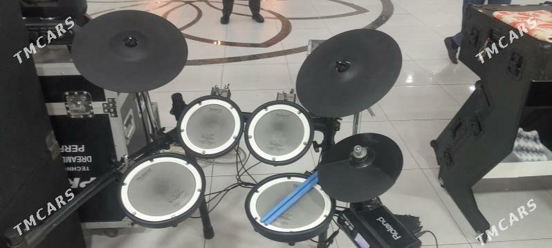 rolond t4 - Mary - img 1