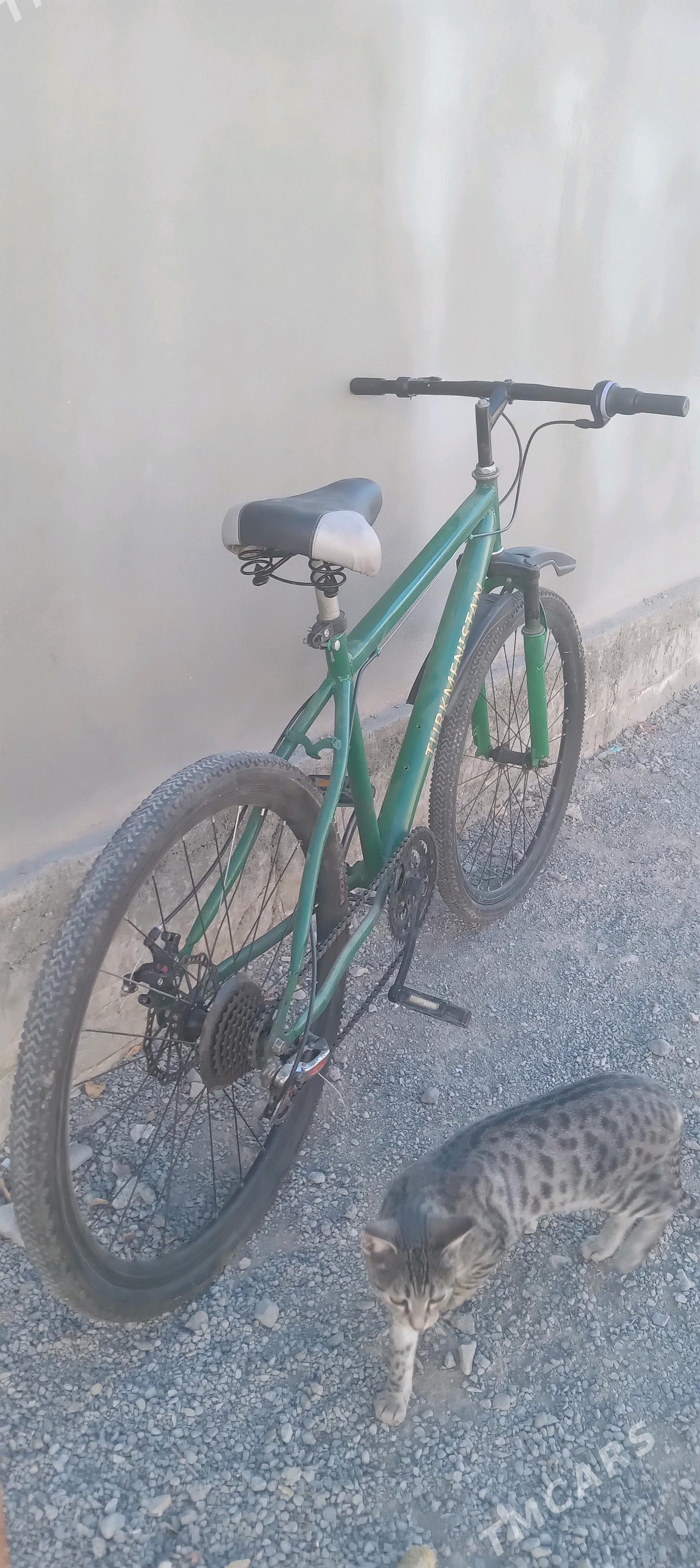 tigir - Bagyr - img 2