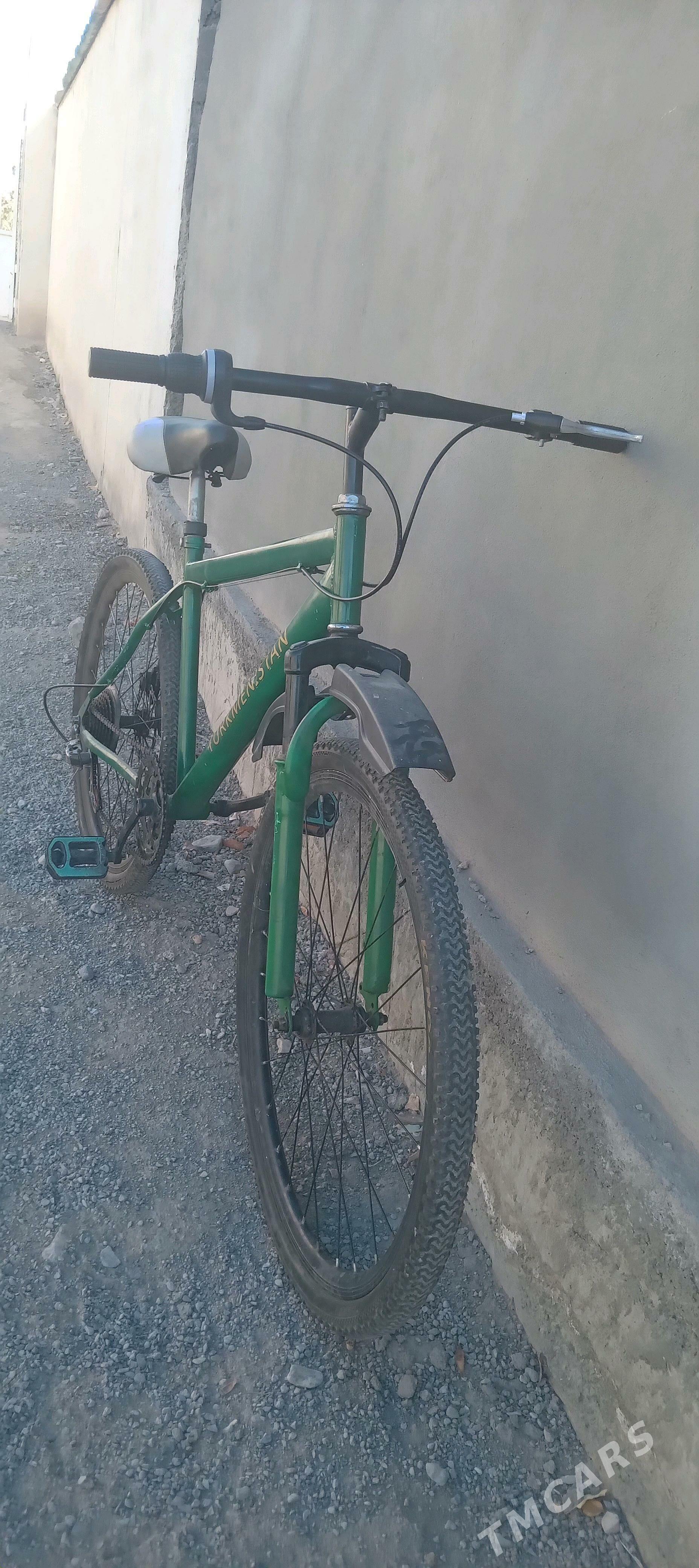 tigir - Bagyr - img 3