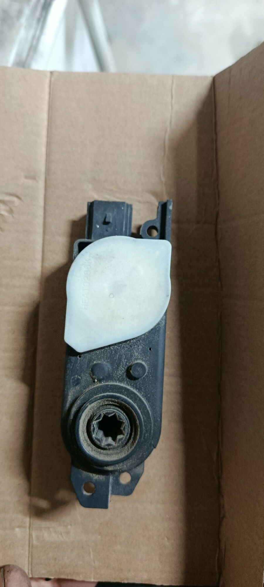 źalyuz matorcik fort 350 TMT - Mary - img 3