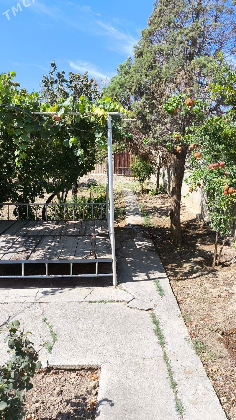 4 SOTOK YER - Gökdepe - img 3