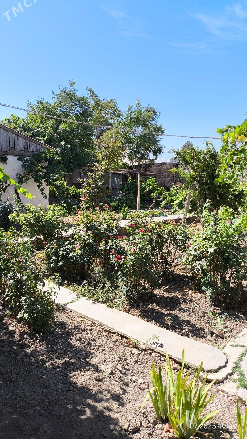 4 SOTOK YER - Gökdepe - img 2