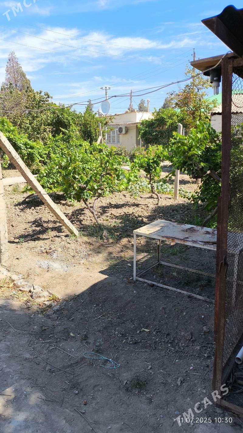 4 SOTOK YER - Gökdepe - img 1