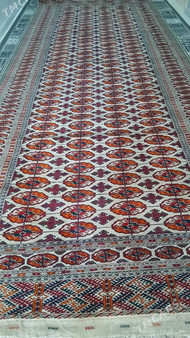 el haly 2/5 - Бахарден - img 2