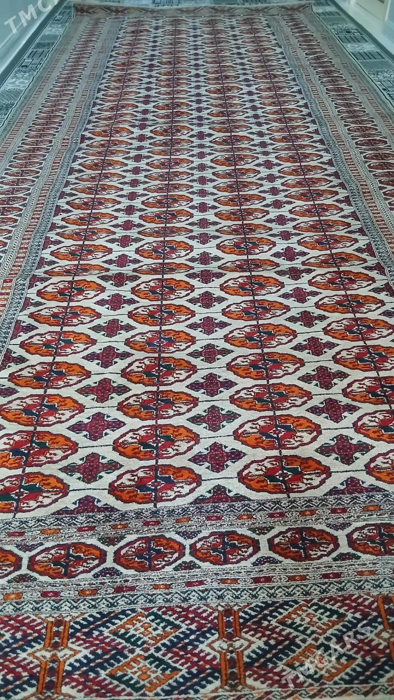 el haly 2/5 - Бахарден - img 3