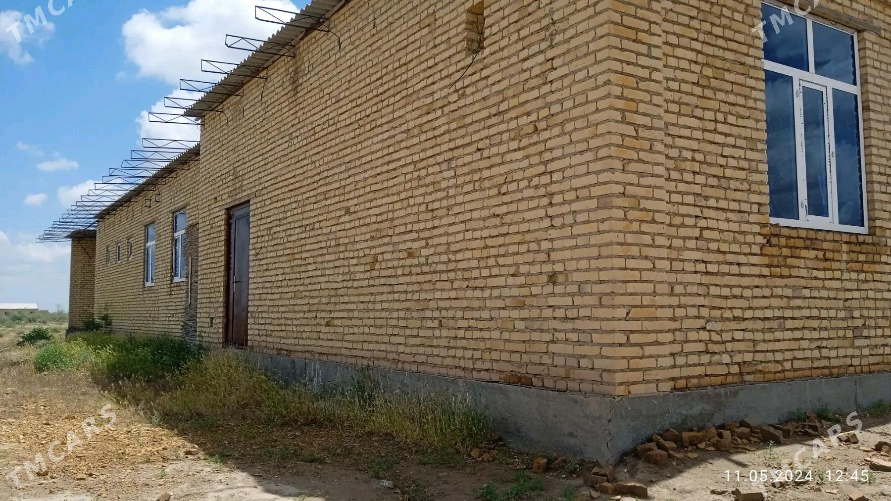 Satlyk col mellek - Саят - img 1