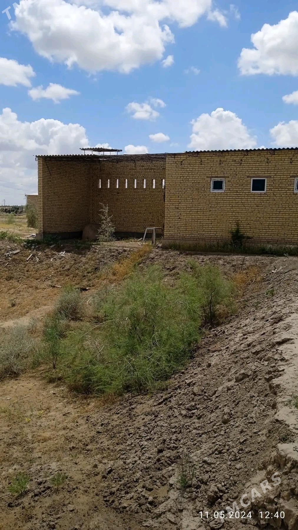 Satlyk col mellek - Саят - img 3