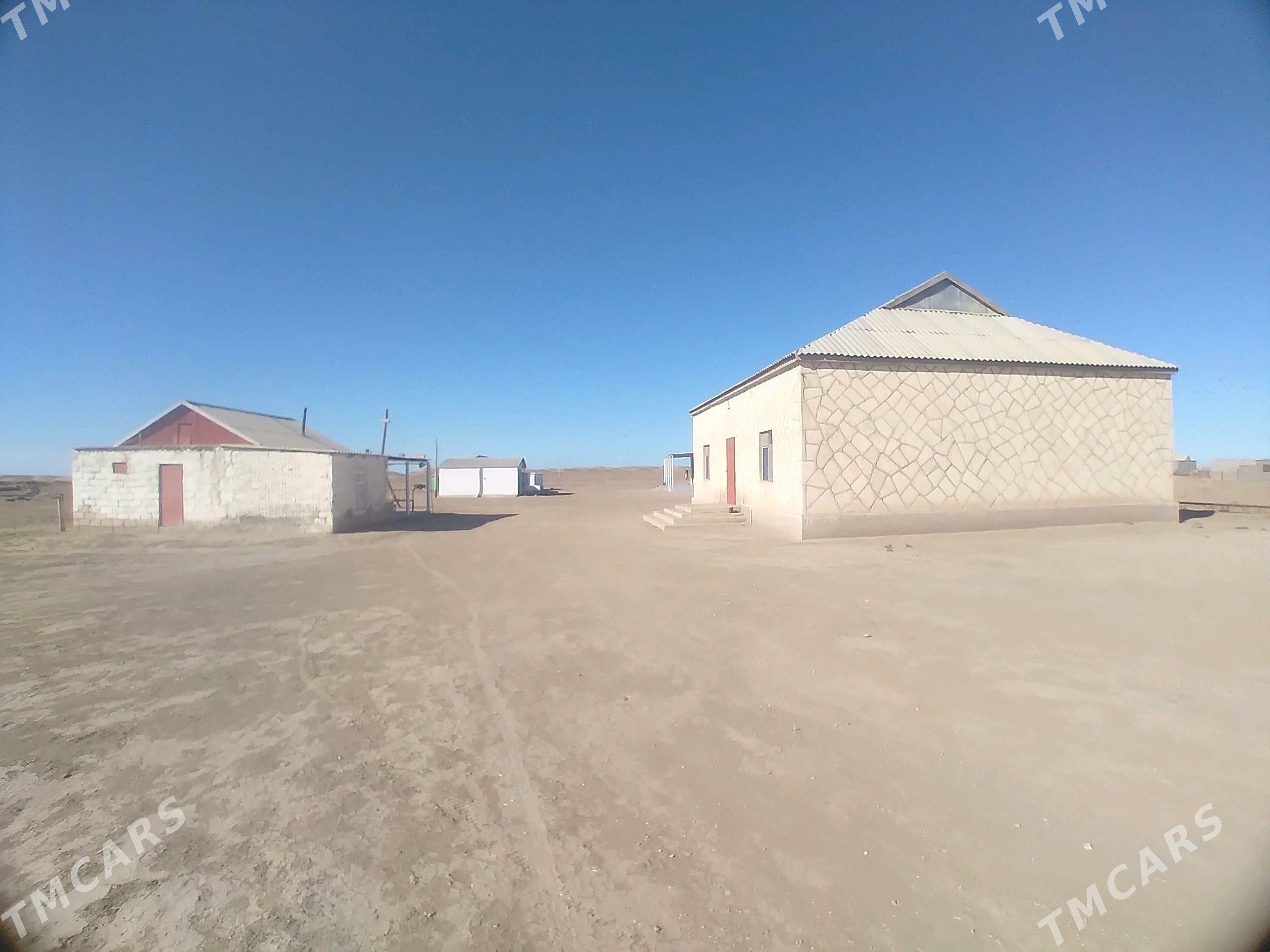 Jay satlyk - Эсенгулы - img 4