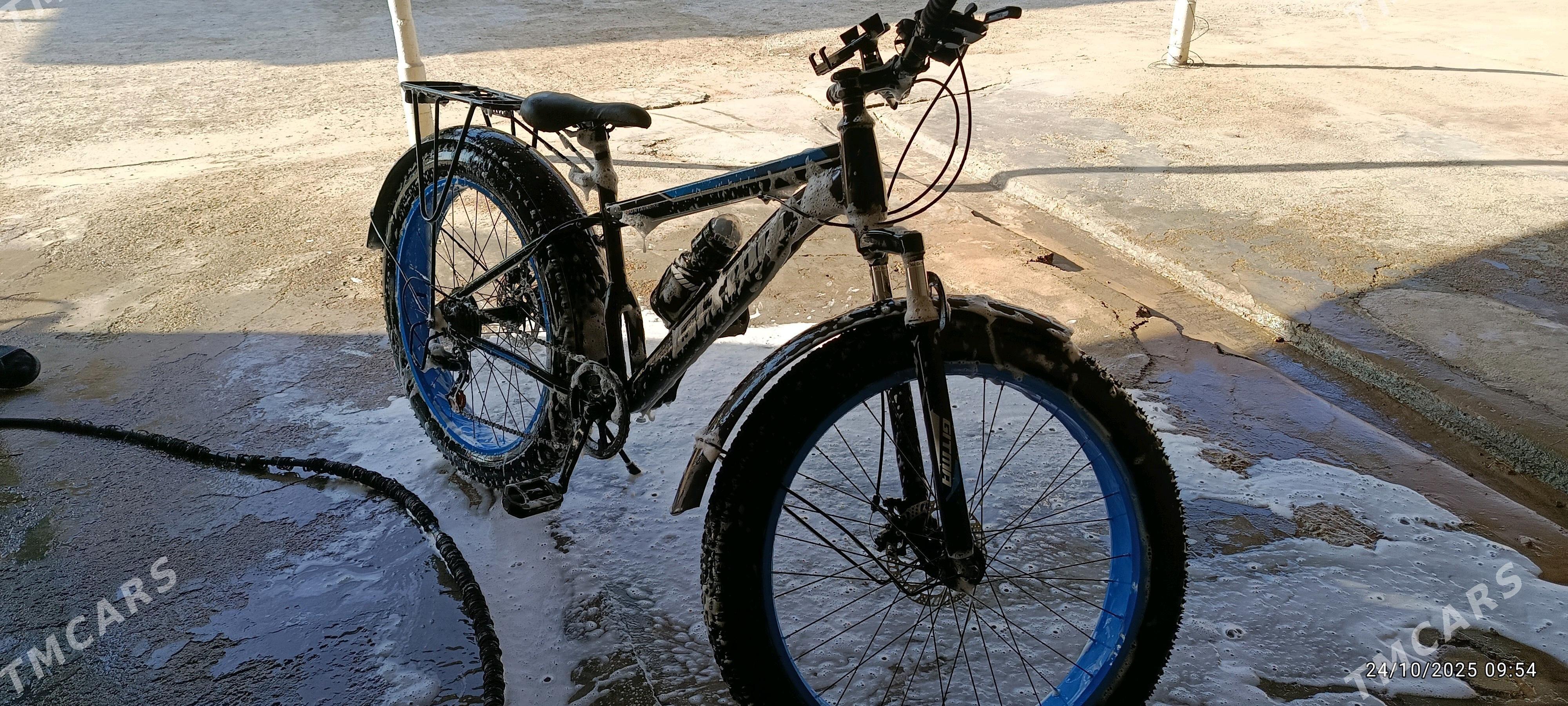 tigir - Sakarçäge - img 2