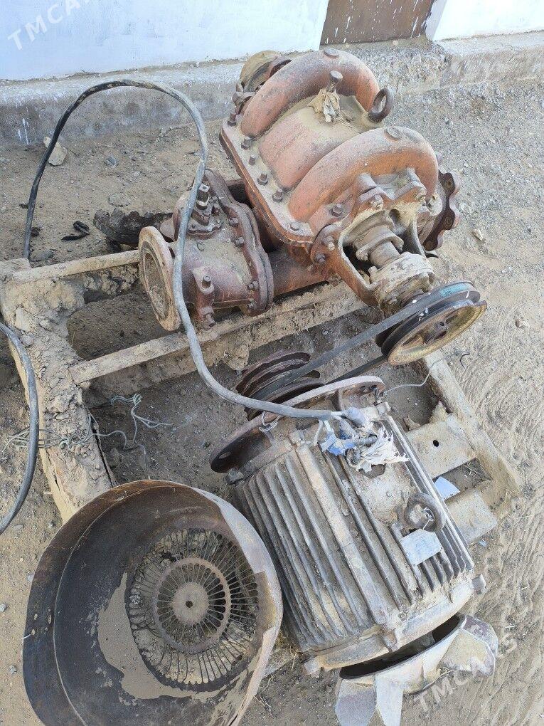 Nasos - Ёлётен - img 4