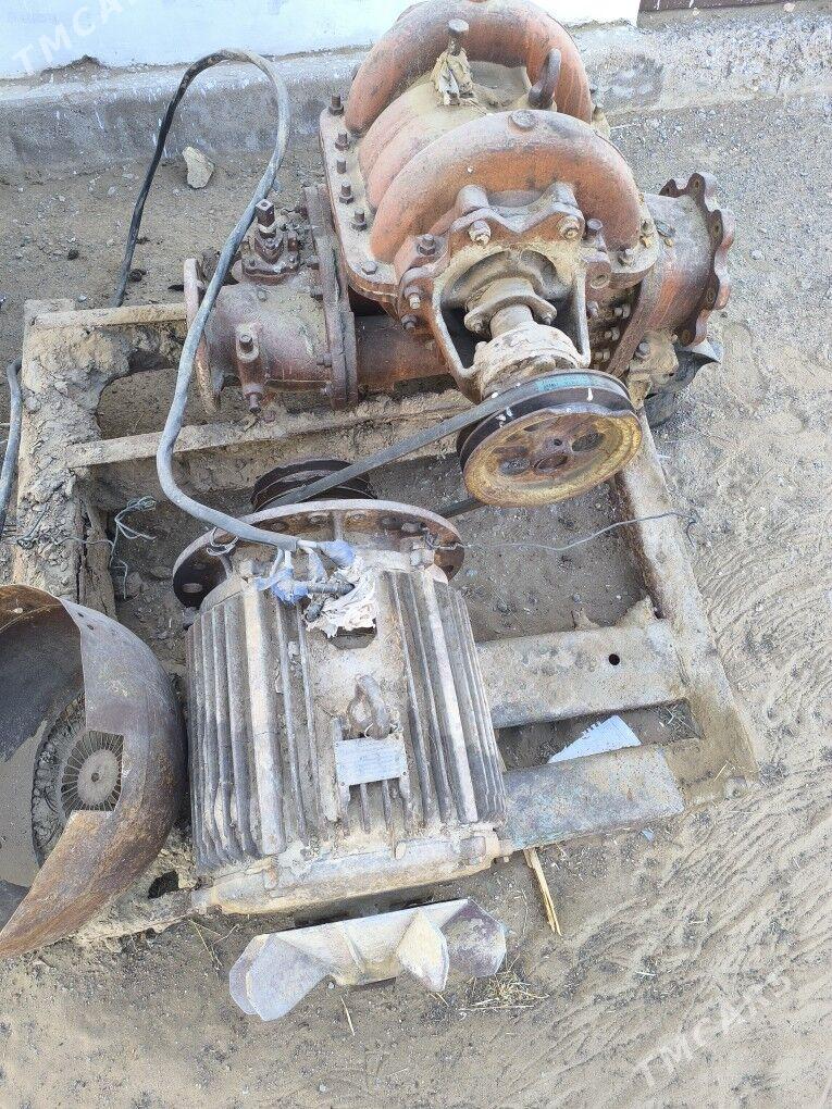 Nasos - Ёлётен - img 3