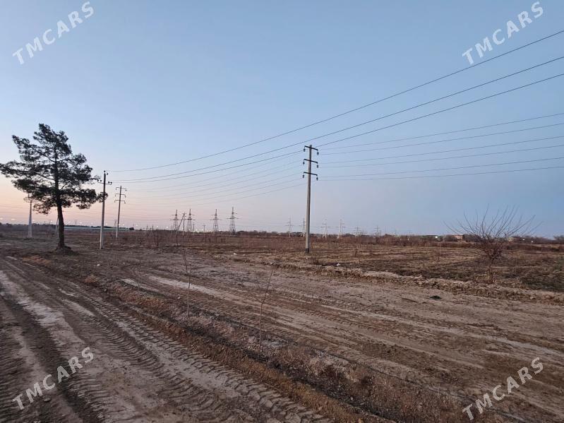 Işhgär Bagban Gerek. - G.Kuliýew köç. (Obýezdnoý) - img 3