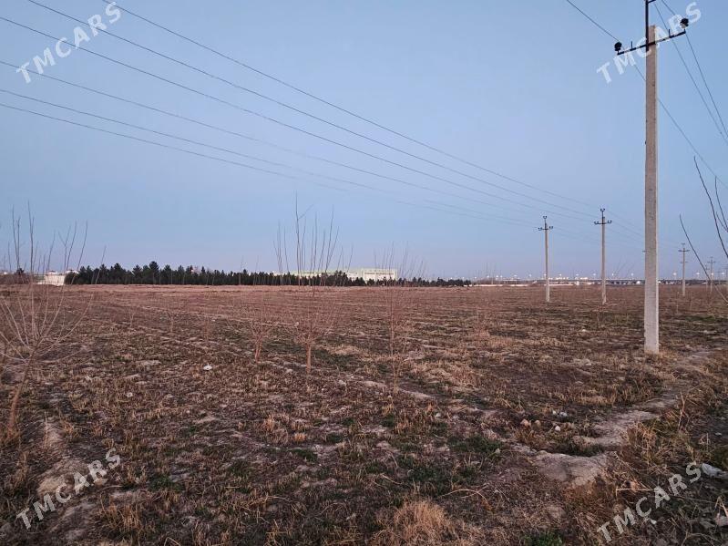 Işhgär Bagban Gerek. - G.Kuliýew köç. (Obýezdnoý) - img 2